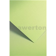 Galeria Papieru ozdobný papír Holland zelená 220g, 20ks