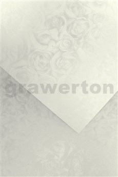 Galeria Papieru ozdobný papír Růže bílá 250g, 20ks